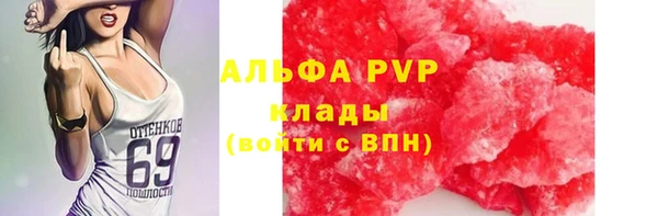 трава Гусь-Хрустальный