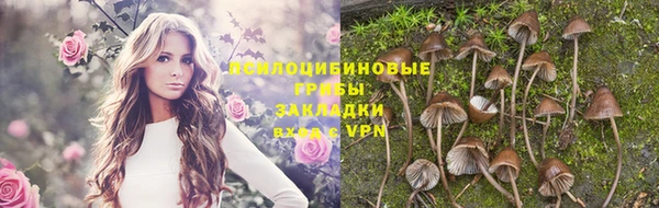 трава Гусь-Хрустальный