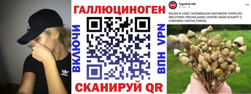 Галлюциногенные грибы ЛСД  как найти наркотики  Можга 