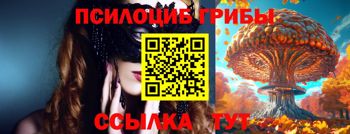 Псилоцибиновые грибы MAGIC MUSHROOMS Можга