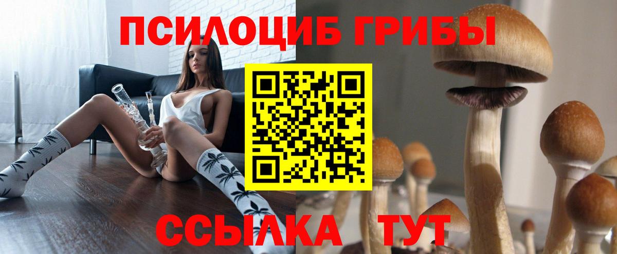 Можга  Галлюциногенные грибы Psilocybe  Псилоцибиновые грибы прущие грибы  Вход с VPN 