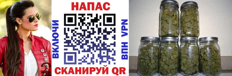 МАРИХУАНА сатива Можга